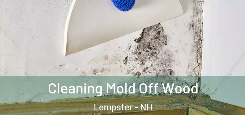 Cleaning Mold Off Wood Lempster - NH