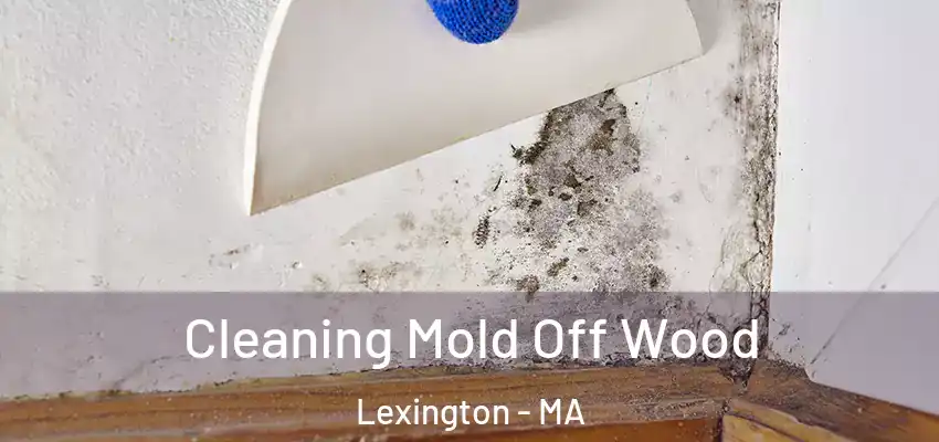 Cleaning Mold Off Wood Lexington - MA