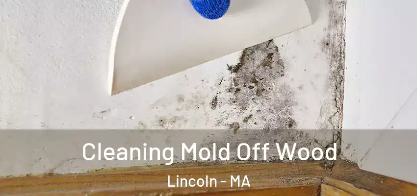 Cleaning Mold Off Wood Lincoln - MA