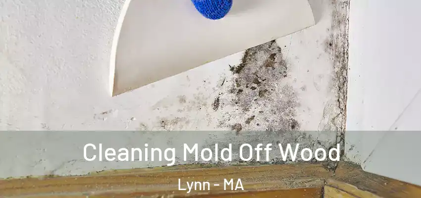 Cleaning Mold Off Wood Lynn - MA