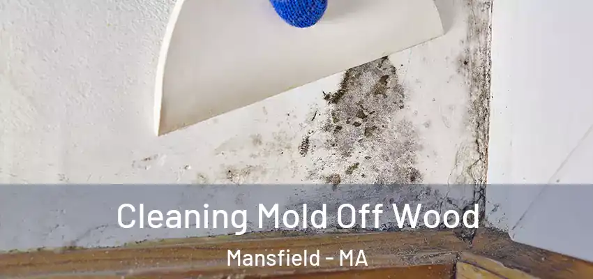 Cleaning Mold Off Wood Mansfield - MA