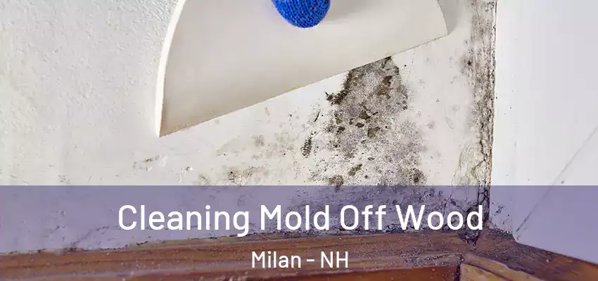 Cleaning Mold Off Wood Milan - NH