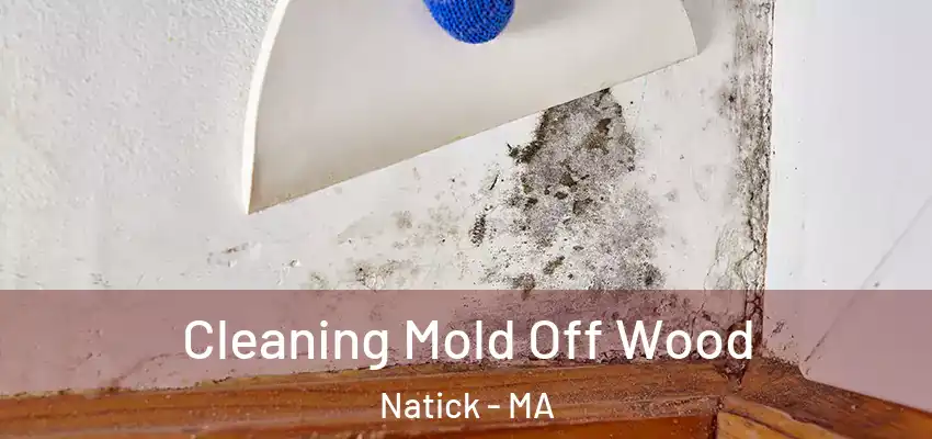 Cleaning Mold Off Wood Natick - MA