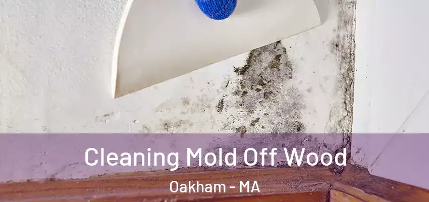 Cleaning Mold Off Wood Oakham - MA