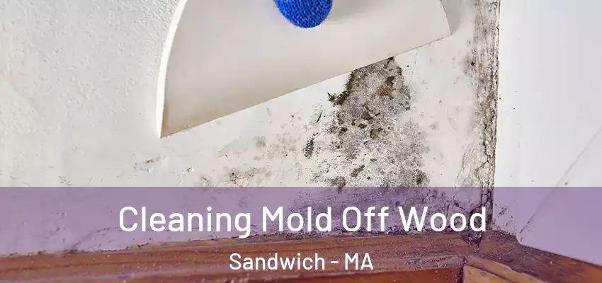  Cleaning Mold Off Wood Sandwich - MA