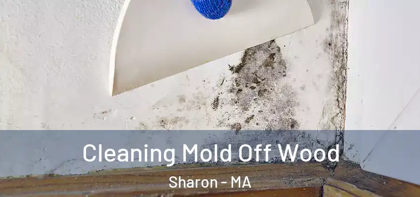  Cleaning Mold Off Wood Sharon - MA