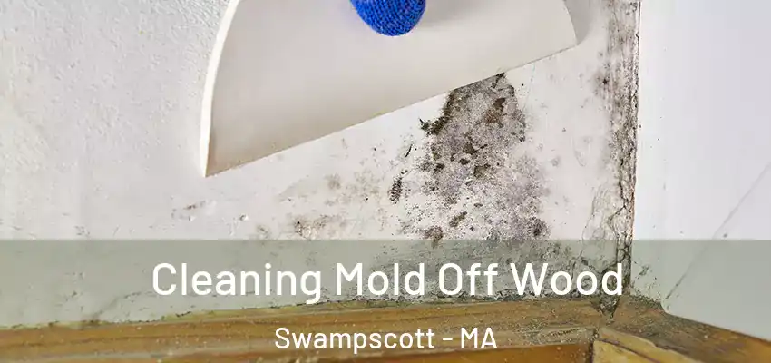  Cleaning Mold Off Wood Swampscott - MA