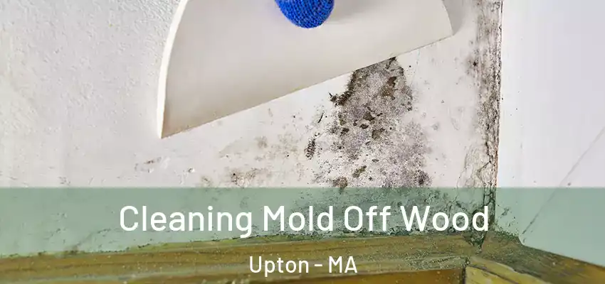 Cleaning Mold Off Wood Upton - MA