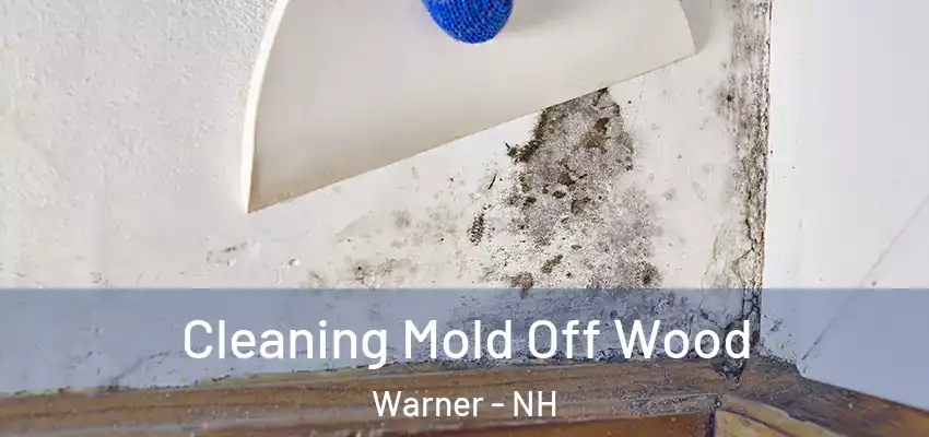 Cleaning Mold Off Wood Warner - NH