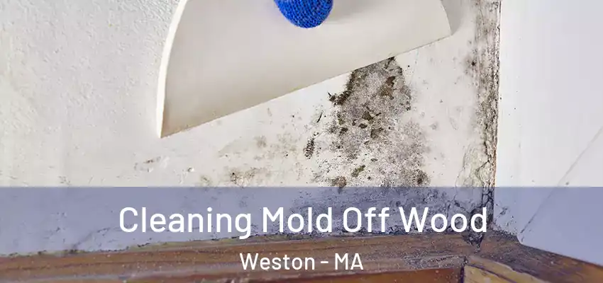  Cleaning Mold Off Wood Weston - MA