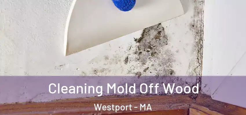  Cleaning Mold Off Wood Westport - MA