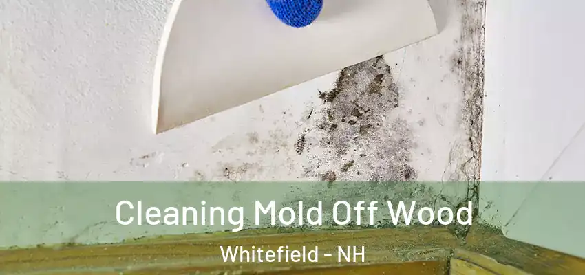  Cleaning Mold Off Wood Whitefield - NH