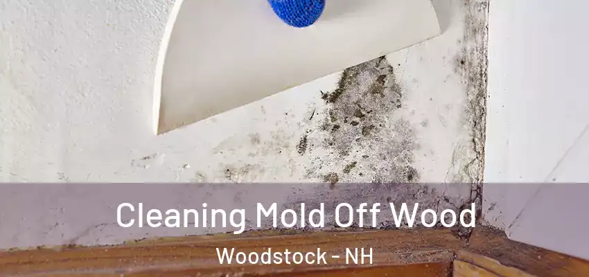 Cleaning Mold Off Wood Woodstock - NH