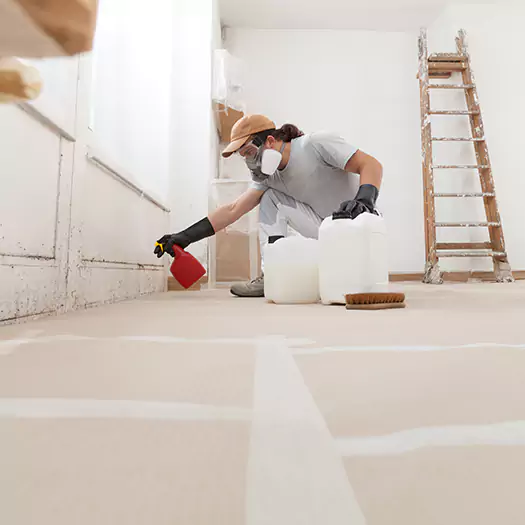 Reliable Mold Stain Remover Specialists in Boston, MA