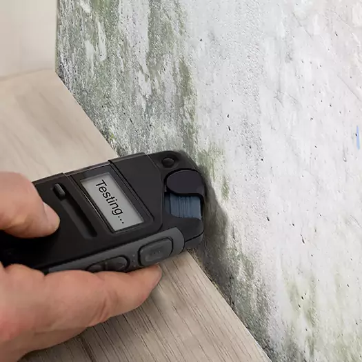 Trusted Mold Testing Experts in Concord, NH