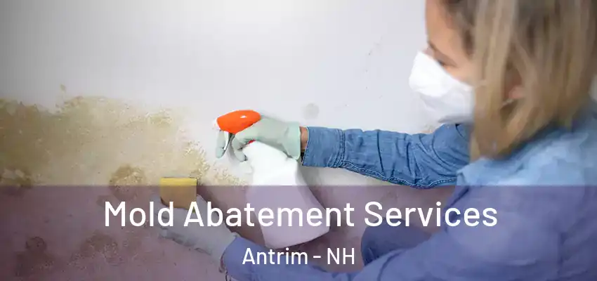 Mold Abatement Services Antrim - NH