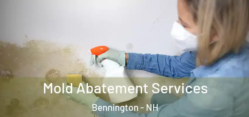 Mold Abatement Services Bennington - NH