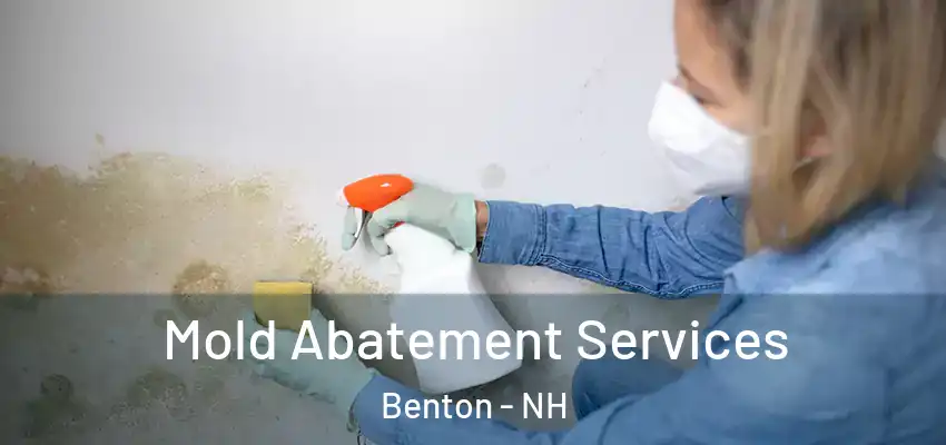  Mold Abatement Services Benton - NH