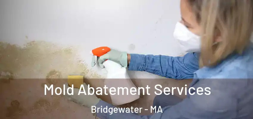 Mold Abatement Services Bridgewater - MA