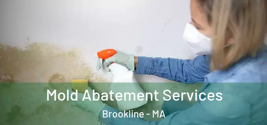  Mold Abatement Services Brookline - MA