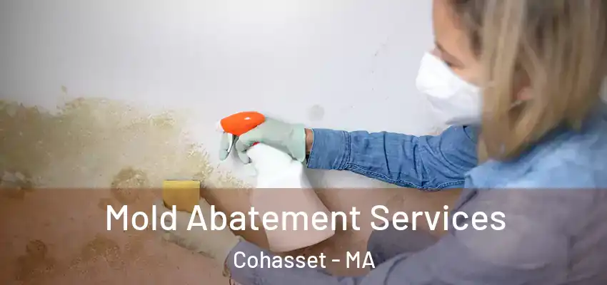  Mold Abatement Services Cohasset - MA
