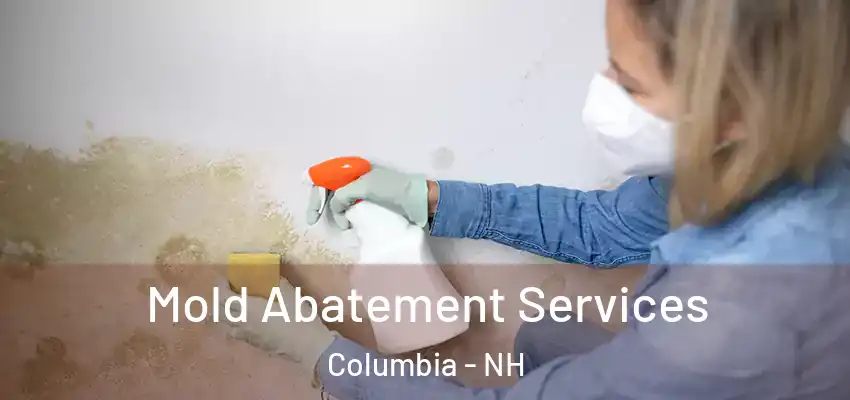 Mold Abatement Services Columbia - NH