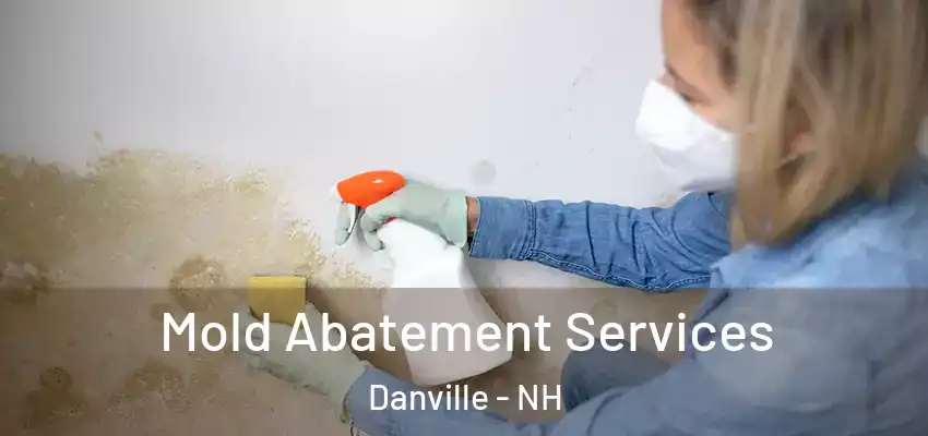 Mold Abatement Services Danville - NH