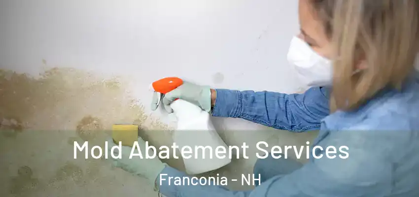 Mold Abatement Services Franconia - NH