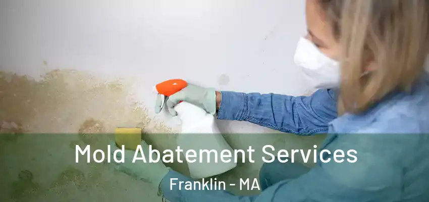 Mold Abatement Services Franklin - MA