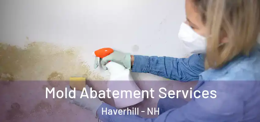 Mold Abatement Services Haverhill - NH