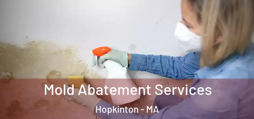  Mold Abatement Services Hopkinton - MA