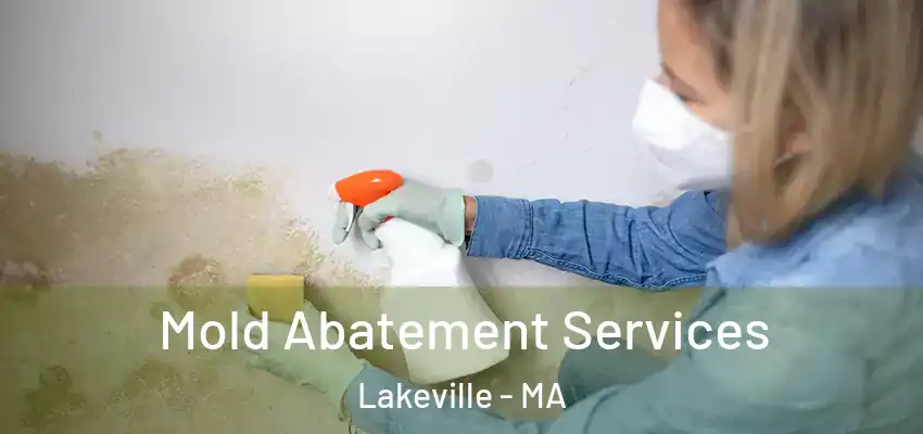  Mold Abatement Services Lakeville - MA