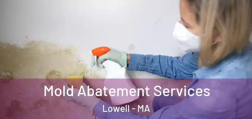  Mold Abatement Services Lowell - MA