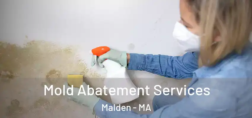 Mold Abatement Services Malden - MA