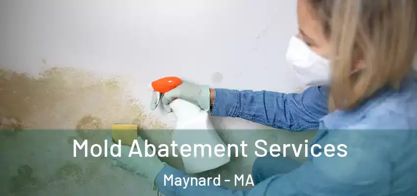  Mold Abatement Services Maynard - MA