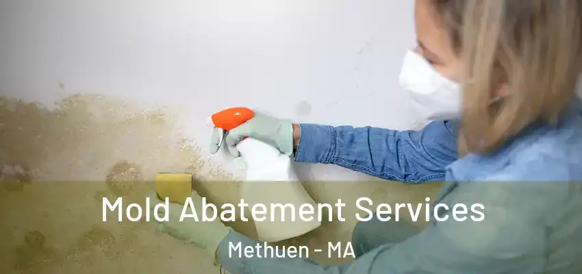 Mold Abatement Services Methuen - MA
