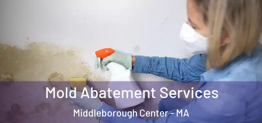 Mold Abatement Services Middleborough Center - MA