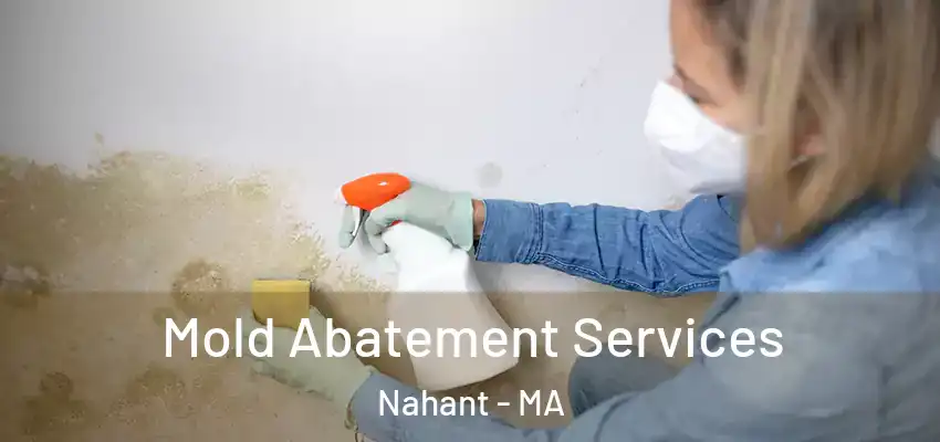 Mold Abatement Services Nahant - MA