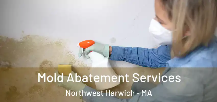  Mold Abatement Services Northwest Harwich - MA