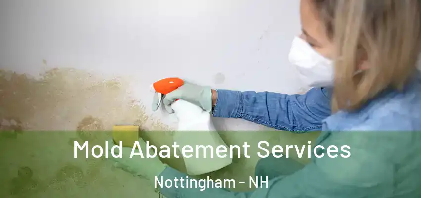 Mold Abatement Services Nottingham - NH