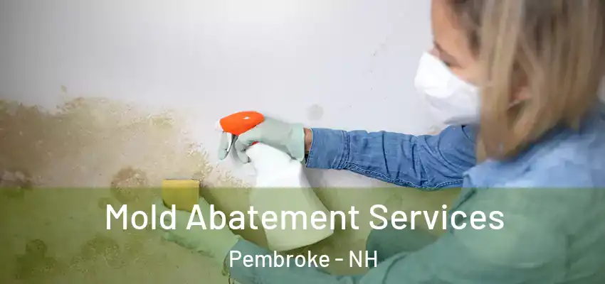 Mold Abatement Services Pembroke - NH