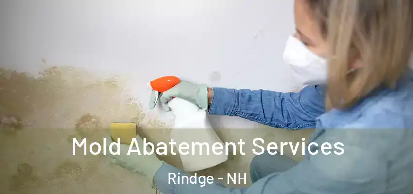 Mold Abatement Services Rindge - NH