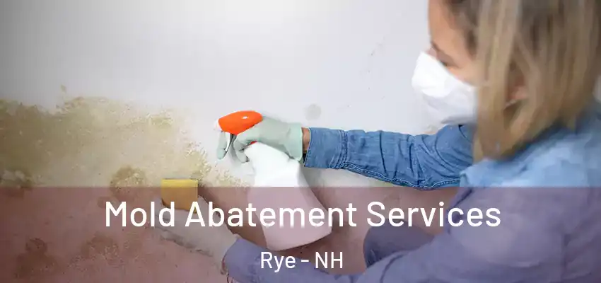  Mold Abatement Services Rye - NH