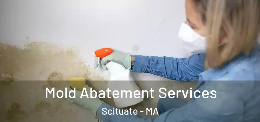 Mold Abatement Services Scituate - MA