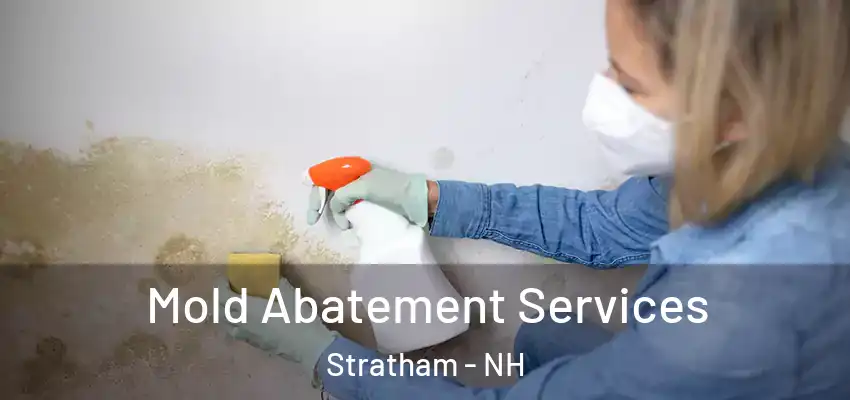  Mold Abatement Services Stratham - NH