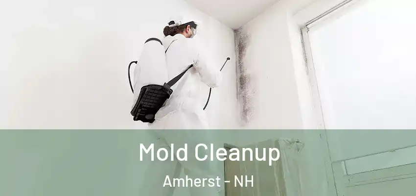 Mold Cleanup Amherst - NH