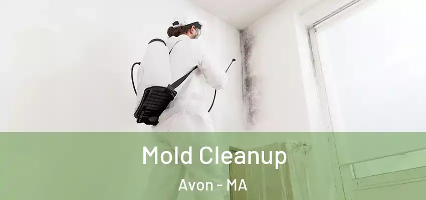  Mold Cleanup Avon - MA