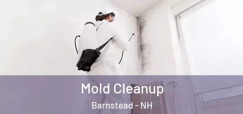  Mold Cleanup Barnstead - NH