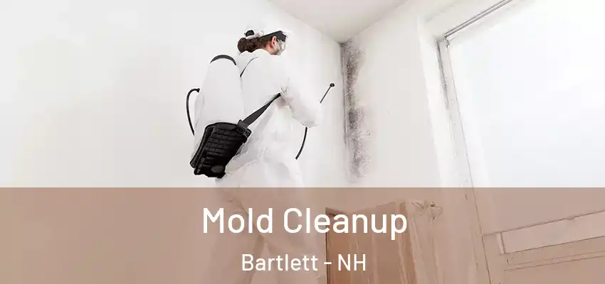 Mold Cleanup Bartlett - NH