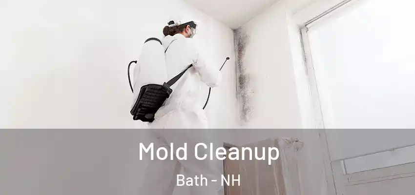  Mold Cleanup Bath - NH